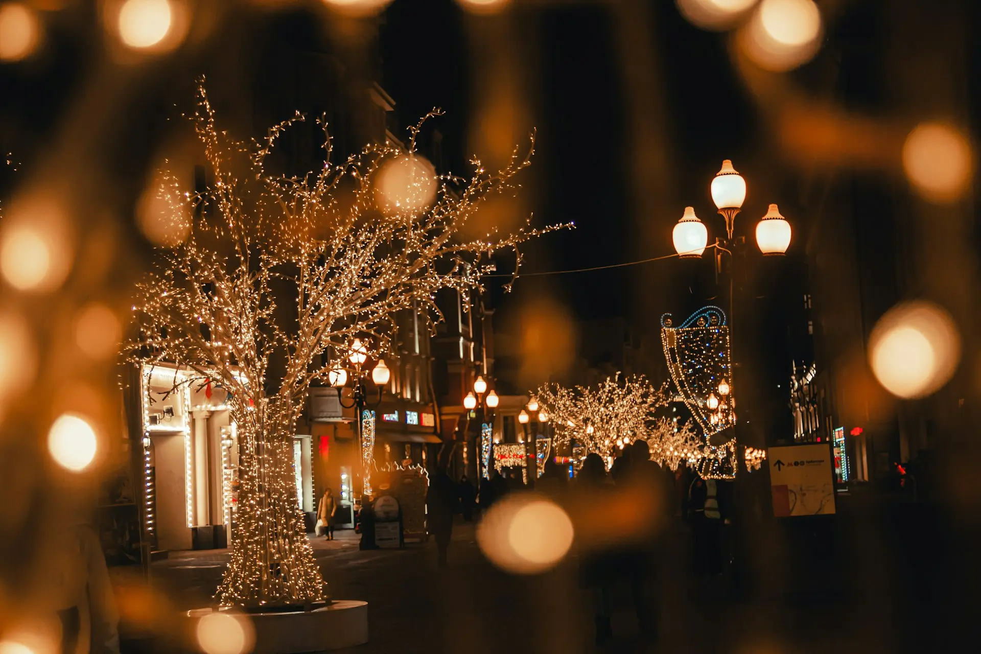 white string lights on tree