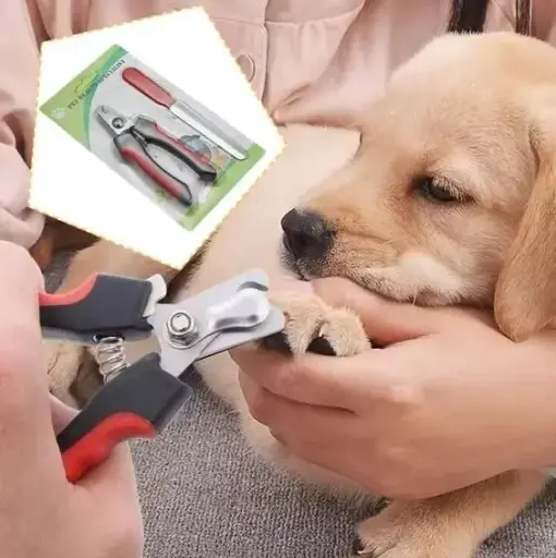 Pet Nails Trimmer Products Pet Accessories Safety Cat Dog Nail Cutters without filer